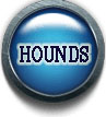 ハウンズ（HOUNDS）RMT rmt|ハウンズ（HOUNDS） rmt|HOUNDS rmt|HOUNDS rmt